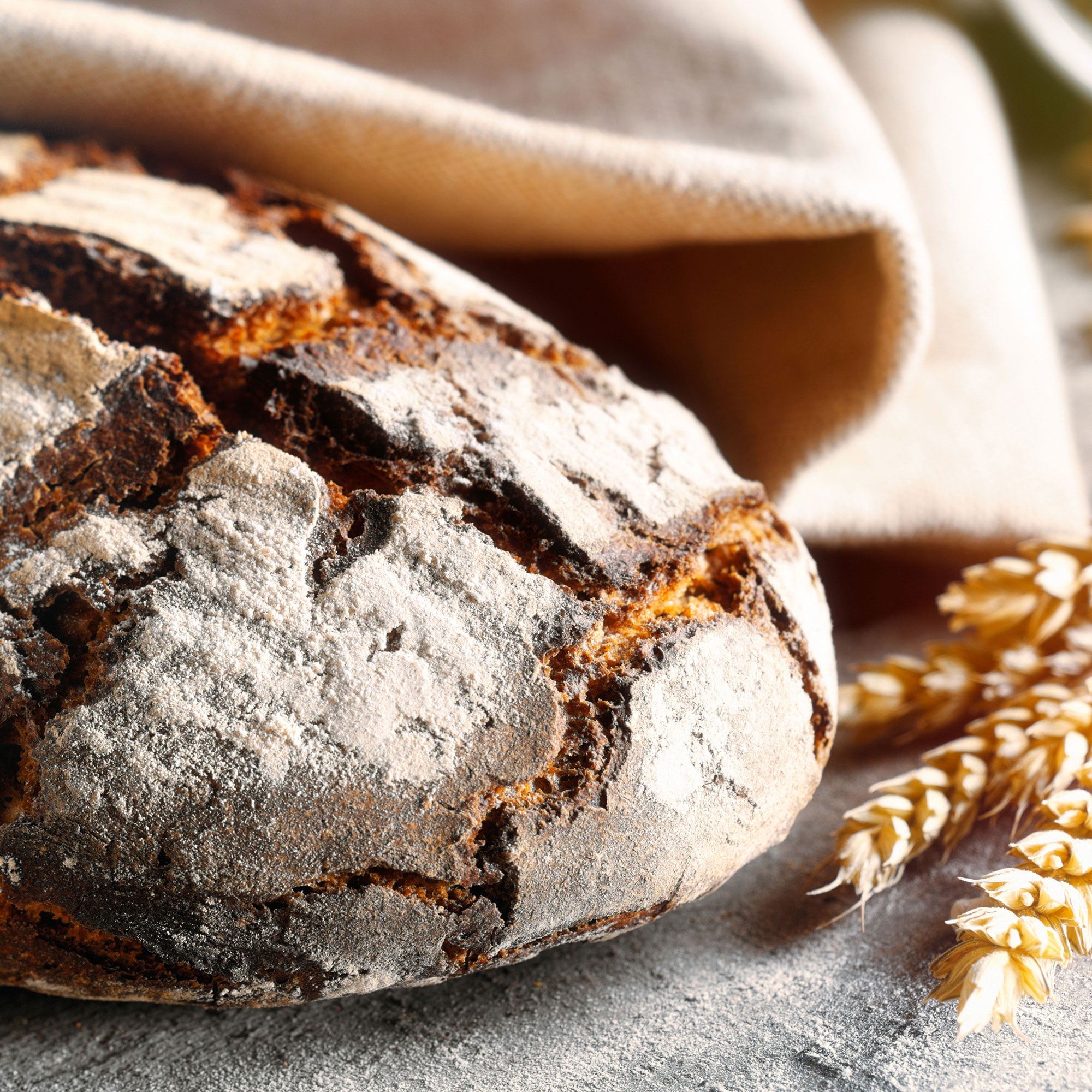 Formation Collaborateur·rice en boulangerie artisanale et durable