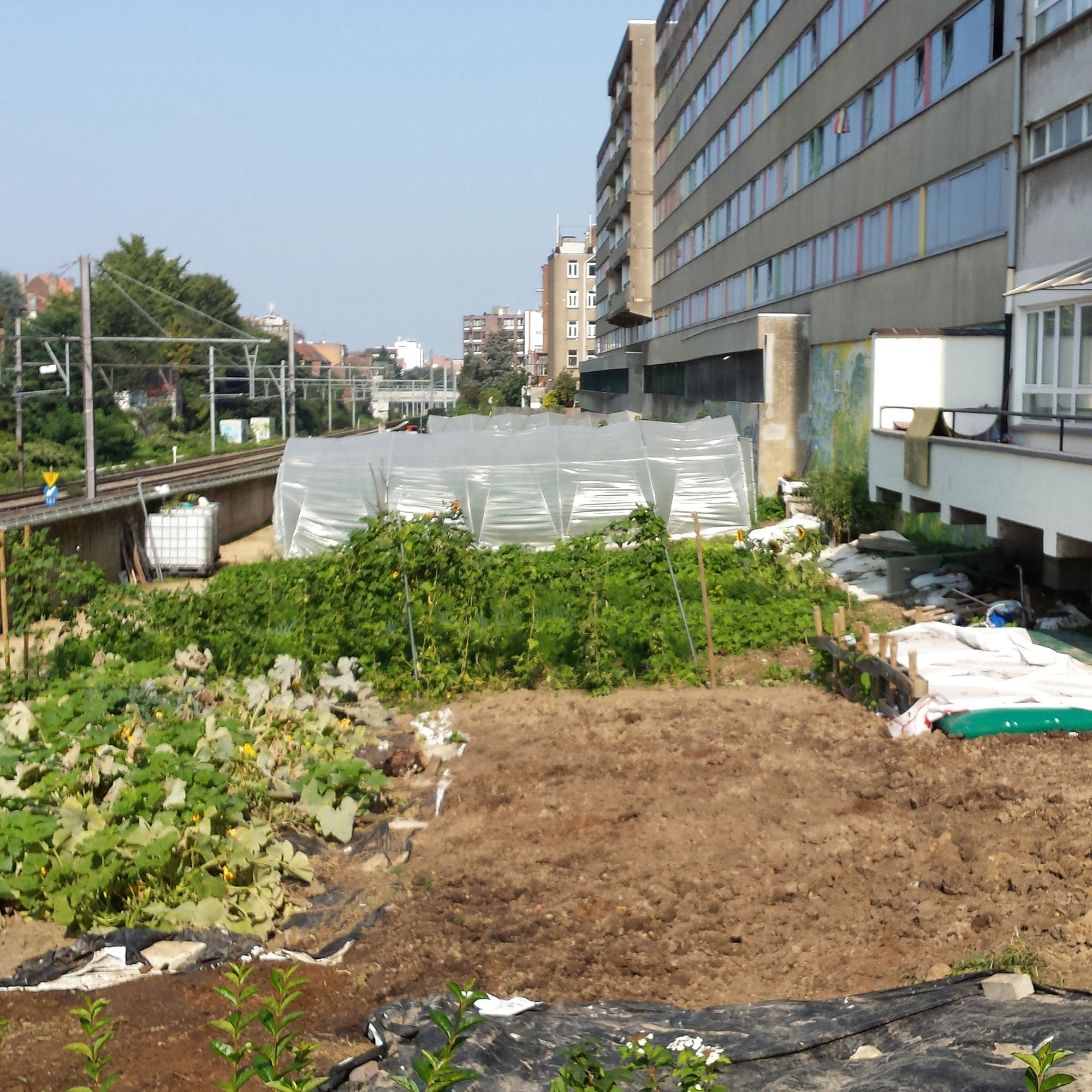 Formation Ouvrier·ère en maraîchage biologique
